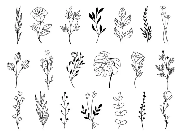 Zestaw wektorowych bazgrołów ręcznie rysowanych elementów kwiatowych — Wektor stockowy