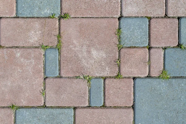 Quadrados grandes e pequenos e retângulos em azul e vermelho. A superfície é pavimentada com pedras de pavimentação — Fotografia de Stock