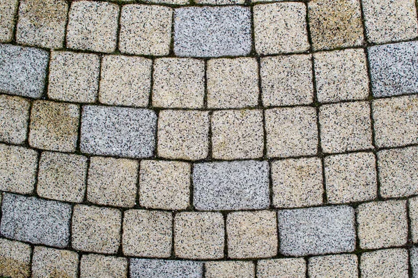 Pavers yarım daire şeklinde dizilmiş. Yüzeyde asma kare ve dikdörtgenler serili.