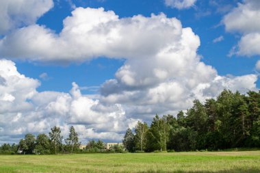 Yeşil alan, mavi gökyüzü ve arka planda orman. Doğal arka plan. Letonya doğası.