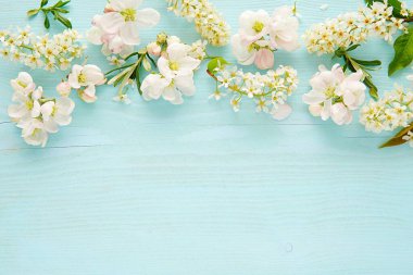 Güzel açan bahar çiçekleri düz mavi arkaplan üzerinde uzanan metin veya güzellik ürünleri sunumu için alan.