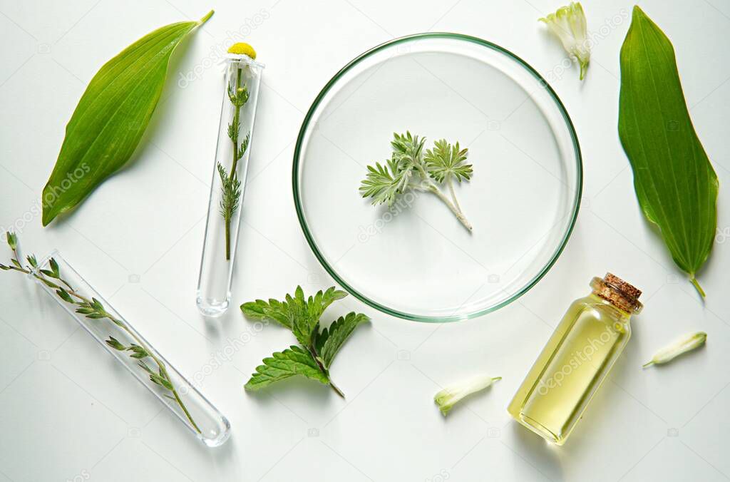 Natural medicine, cosmetic research, bio science, organic skin care products in laboratory glassware, essential oil.