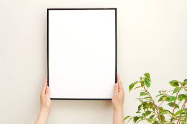 Şekil verilmiş stok fotoğrafı, boş siyah çerçeve modeli ve yeşillik, el ele tutuşma çerçevesi, minimalist iç mekan, yeşil bitki, sanat sergisi.
