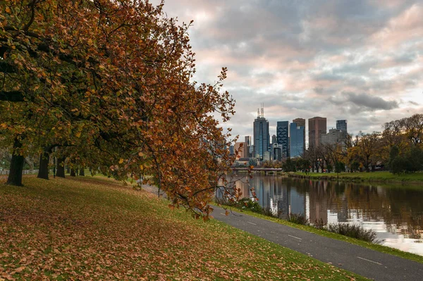 Melbourne, Avustralya 'daki Yarra Nehri' nin yanında sonbahar yaprakları