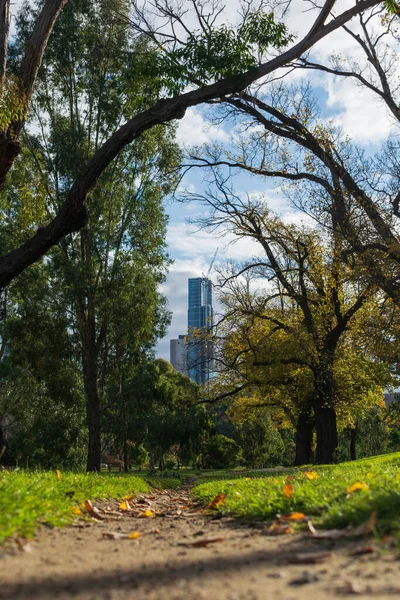 MELBOURNE, AUSTRALYA - 7 Haziran 2020: Melbourne 'daki Avustralya 108 kulesine giden toprak yol.