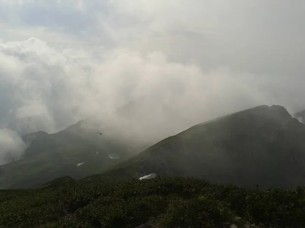 Achischo Mountain Krasnaya Polana Russian Federation Summer Foggy Day — Stock Photo, Image