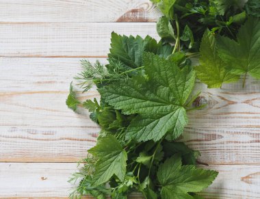 İlkbahar şifalı bitkilerin toplanması. Beyaz ahşap bir masada faydalı taze yapraklar..