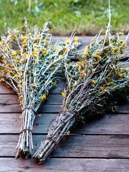 Las Ramitas Del Arbusto Caragana Cilhi Con Hojas Pequeñas Flores —  Fotos de Stock