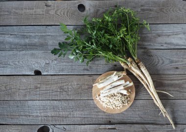 İlkbahar maydanoz kökü hasadı ilaç ve besin için kullanılıyor. Ahşap zeminde kök salmış maydanoz bitkisi. Tıbbi ve yiyecek geçmişi. Mesaj için yer var..