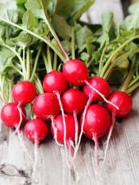 Baharın ilk doğal, taze koparılmış turpu bahçede yetişir, ahşap bir arka planda. Tarımsal sebze arka planı.