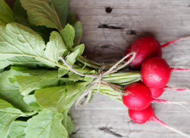 Bir ip ile bağlanmış, yeşil yapraklı taze koparılmış turp demetleri..