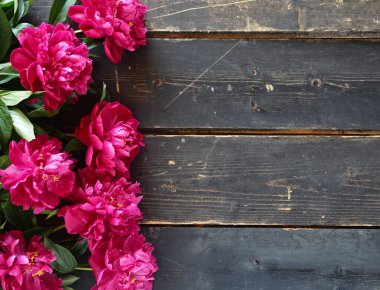 Tebrik mesajı için uygun bir yer. Bahar çiçeği arkaplanı. Koyu ahşap arka planda Burgundy şakayıkları.