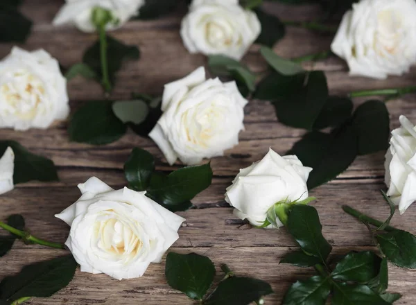 Cartão Saudação Fundo Madeira Natural Com Rosas Brancas Folhas Verdes — Fotografia de Stock