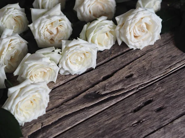 白色的玫瑰在自然的木制背景上呈角度排列 节日问候或明信片 — 图库照片