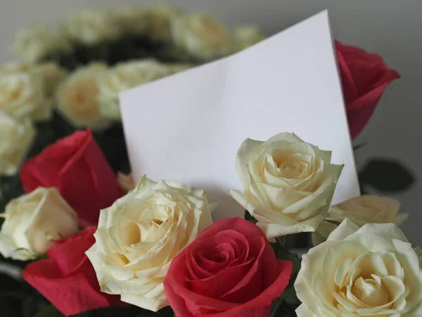 Приветственный Фон Пространство Текста Большой Букет Белых Красных Розовых Роз — стоковое фото