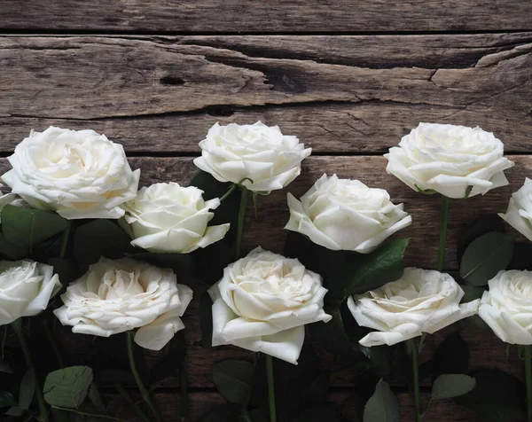 Virágos Természetes Hátter Kilátás Felülről Fehér Rózsák Zöld Levelek Szétterülnek — Stock Fotó