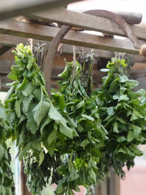 Yazı kurtarıyorum. Şifalı bitkisel özgeçmiş. Nane ve Melissa bitkileri, çim biçmek için bir bahçe aracının arka planına dayalı bir gölgelik altında kurutuluyor..