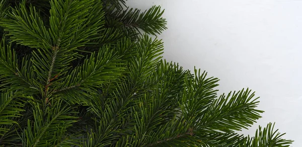 Mesaj Için Yer Beyaz Ahşap Arka Planda Noel Yeşili Çerçeve — Stok fotoğraf
