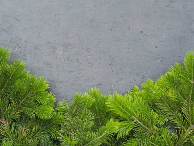 Mesaj için yer. Koyu ahşap arka planda Noel yeşili çerçeveler.