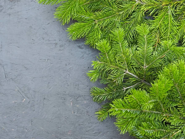 Siyah Arka Planda Noel Ağacı Çam Dalları Yukarıdan Bak Kopyalama — Stok fotoğraf