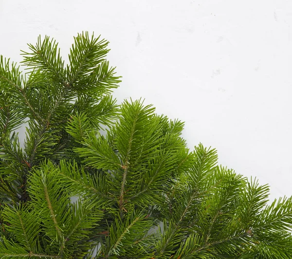 Posto Testo Sfondo Natalizio Rami Verdi Albero Natale Trovano Uno — Foto Stock