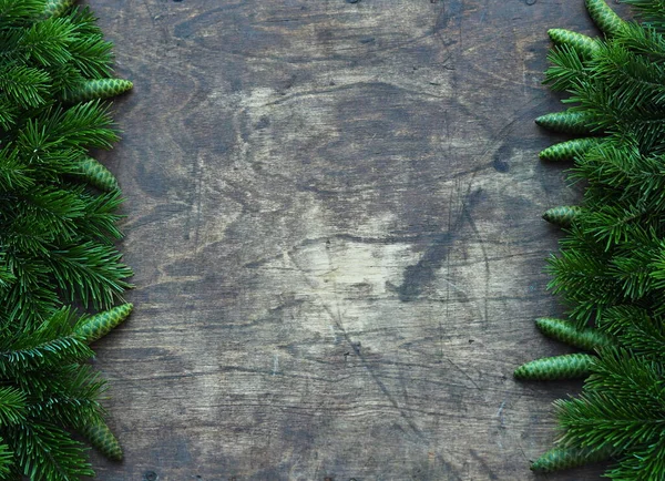 Fond Noël Avec Place Pour Texte Avec Félicitations Les Branches — Photo