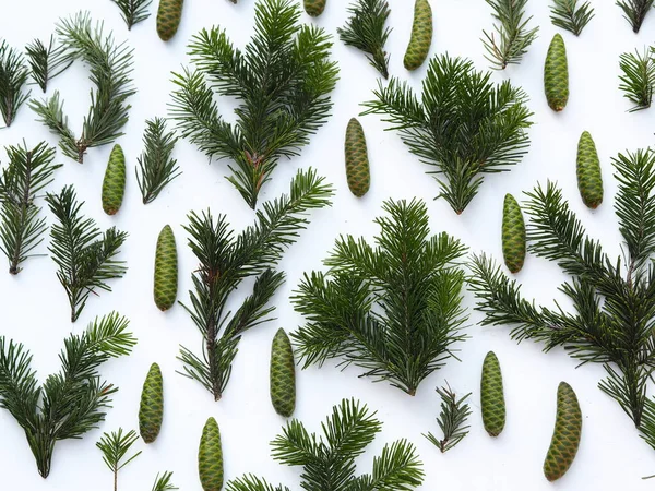 Nový Rok Vánoční Pozadí Kužele Stromu Jedle Jsou Rozloženy Bílém — Stock fotografie