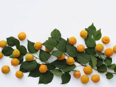 Meyve arkaplanı. Noktalı taze kayısılar beyaz arka planda serili..