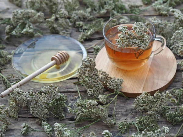薬用ハーブ。天然木の背景に蜂蜜とガラスカップの矢印ハーブティー. — ストック写真