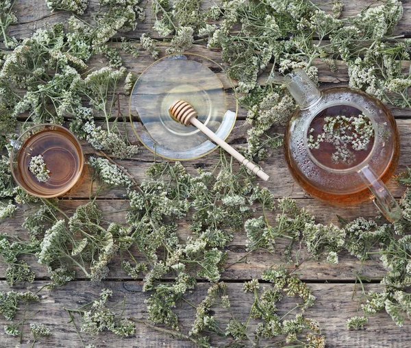 薬の有用なハーブの矢 天然記念物の木の背景にハチミツを入れたグラスティーポットでハーブティー — ストック写真