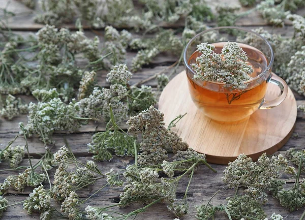 漢方薬の背景。木の素朴なテーブルの上に矢の花と健康茶。テキストの場所. — ストック写真