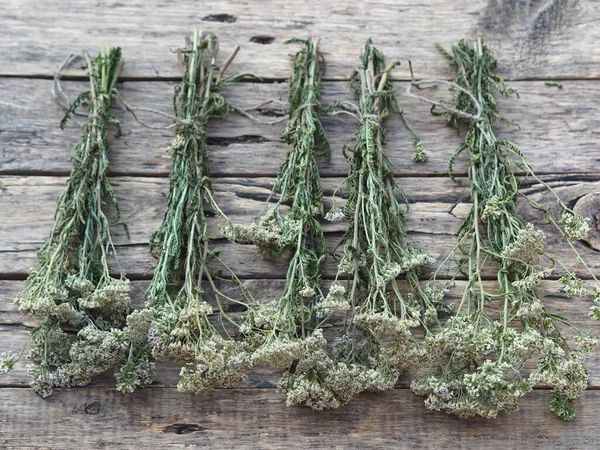 The season for harvesting medicinal herbs. Bunches of medicinal herbs are laid out and dried naturally on a wooden background.