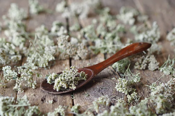 Dried Herbs Use Alternative Medicine Herbal Medicine Spa Herbal Cosmetics — Stock Photo, Image