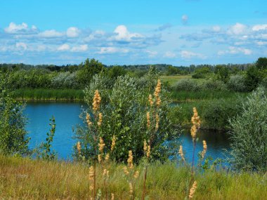 Volga bölgesinin doğası. Rus nehirleri, Volga 'nın kolları.