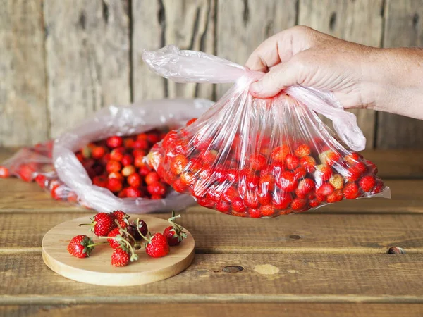 Preparare Fragole Conservare Nel Congelatore Uso Futuro Mani Della Donna — Foto Stock