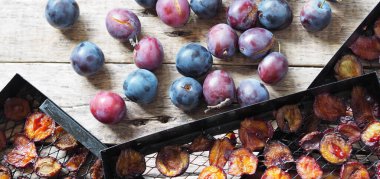 Meyveli erik cipsi. Kurutulmuş erikli ev meyvesi ve sebze kurutma makinesinin siyah ızgaraları..