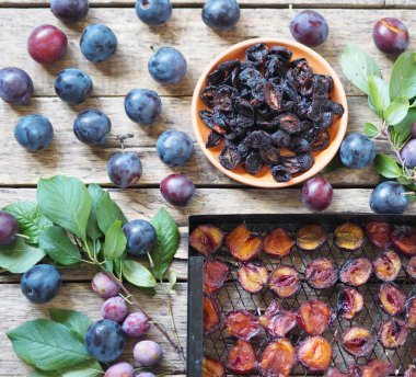 Meyveli erik cipsi. Kurutulmuş erikli ev meyvesi ve sebze kurutma makinesinin ızgaraları. Ahşap bir arka planda taze eriklerle. Kurutulmuş meyvelerin ev yapımı.