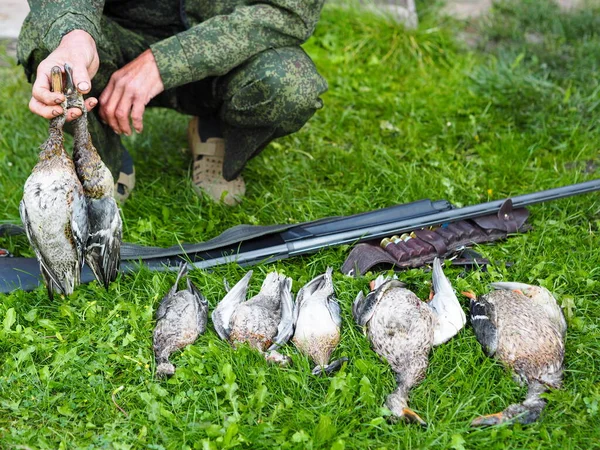 Первый трофей диких уток после охоты на зеленой траве. Руки охотников держат утку. Охота на птиц.. — стоковое фото