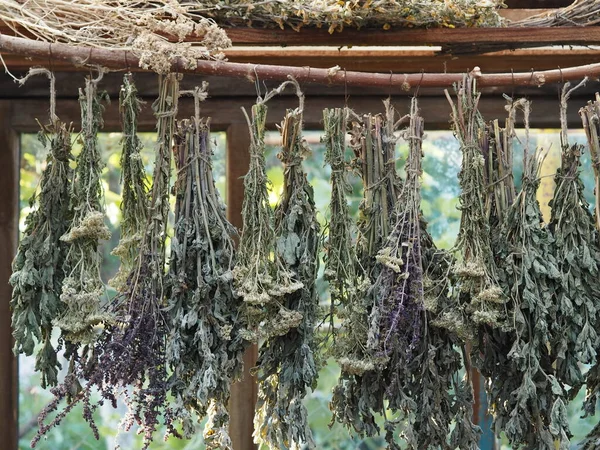 天蓋の下で乾燥するために薬草の束が掛けられています 有用ハーブの収集と乾燥の季節 — ストック写真