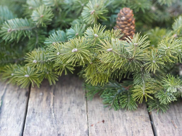 木製の古代素朴な背景にトウヒの緑の枝 クリスマスと新年 テキストの場所 — ストック写真