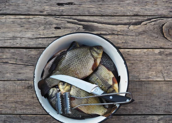 Carpa Dorada Fresca Tazón Cocina Listo Para Ser Escalado Pescado — Foto de Stock