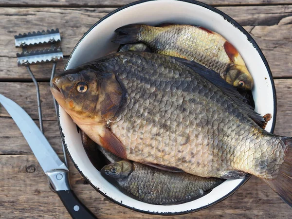 Carpa Dorada Recién Capturada Plato Cocina Está Lista Para Ser — Foto de Stock