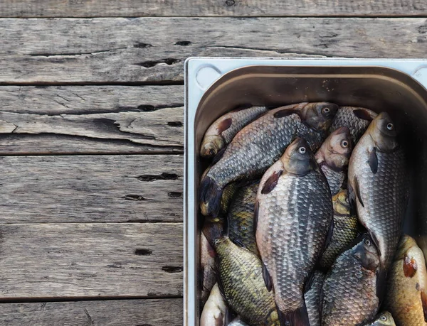 Peces Del Río Carpa Dorada Recién Capturada Tazón Metal — Foto de Stock