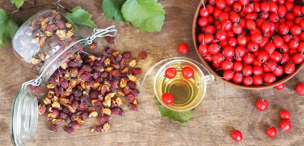 Season Picking Berries Traavs Future Cup Tea Hawthorn Help Cope — Stock Photo, Image