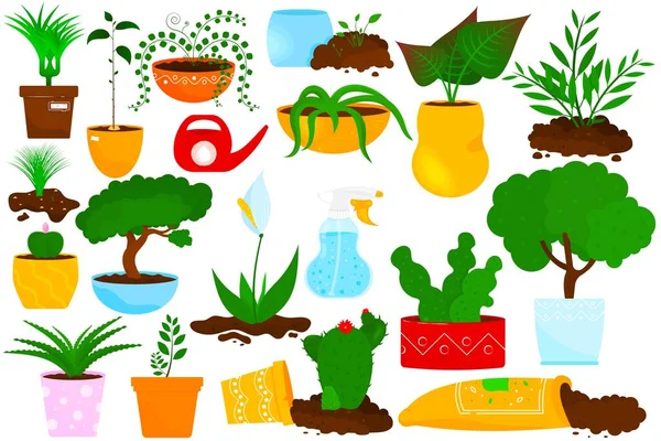 Векторный набор комнатных растений. Цветы и зеленые домашние растения в горшке. Объекты для дизайна интерьера. Спрей для воды, почва, алоэ, кактус — стоковый вектор