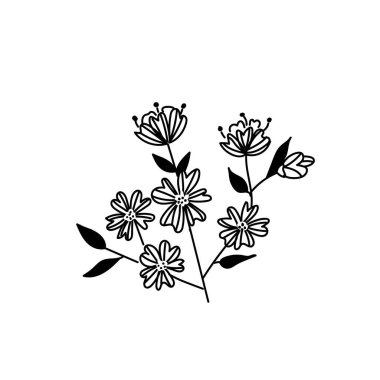 Elma ya da kiraz dalı çizimi vektör biçiminde. Çiçek. Bahar dalı. Çiçek süsleme elementi..