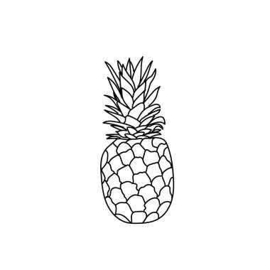 Ananas vektör çizimi. Yaz meyveleri olgunlaşmış ananas.