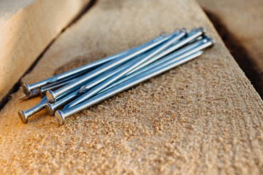 Fasteners ve çatı için inşaat malzemeleri. Çam ağacından çatılara çivilenmiş uzun metal çiviler, kapalı perspektifli yakın plan..