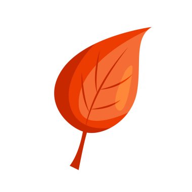 Sonbahar yaprağı beyaza saçılmış. Vektör düz resimleme.