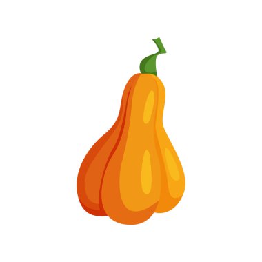 Beyaz balkabağı. Sonbahar mevsimlik yiyecekler. Vektör düz resimleme.